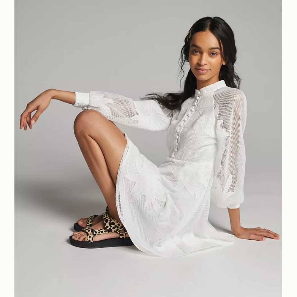 Anthropologie Sabine Embroidered Mini Dress